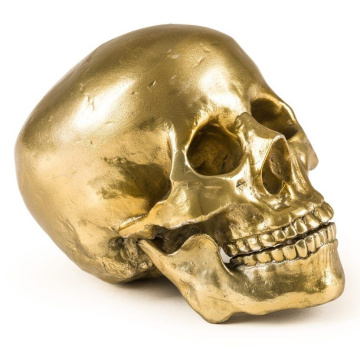 Фигурка Seletti Wunderkrammer Human Skull 10891