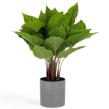 Искусственное растение La Forma Flower Anthurium LF-081760