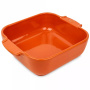 Форма для запекания Peugeot Terracotta 61128. фото 1