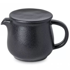 Чайник заварочный Costa Nova Roda Tea Pot with Infuser RTX161-ARD